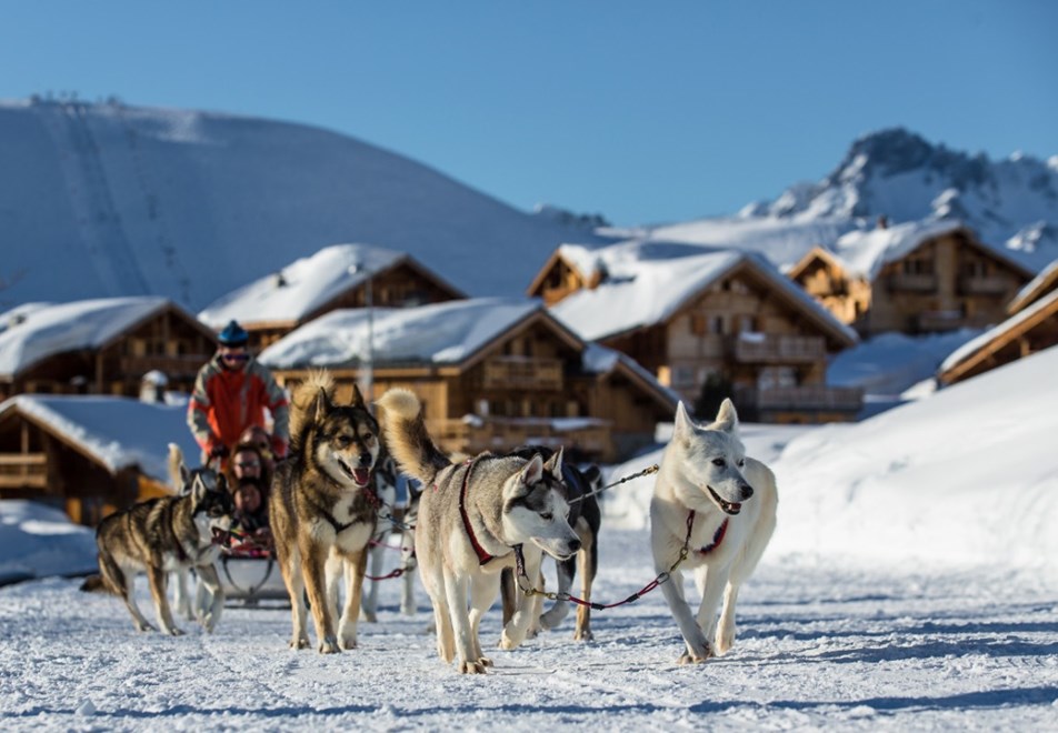 Alpe d'Huez Ski Resort (©Laurent-Salino) - Dog sledding