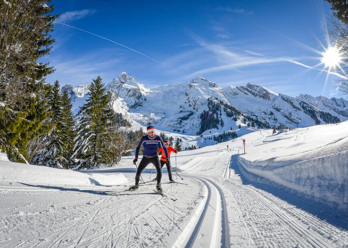 Nordic Skiing - David Machet