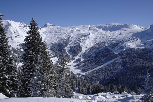 Skiing in Flaine Review