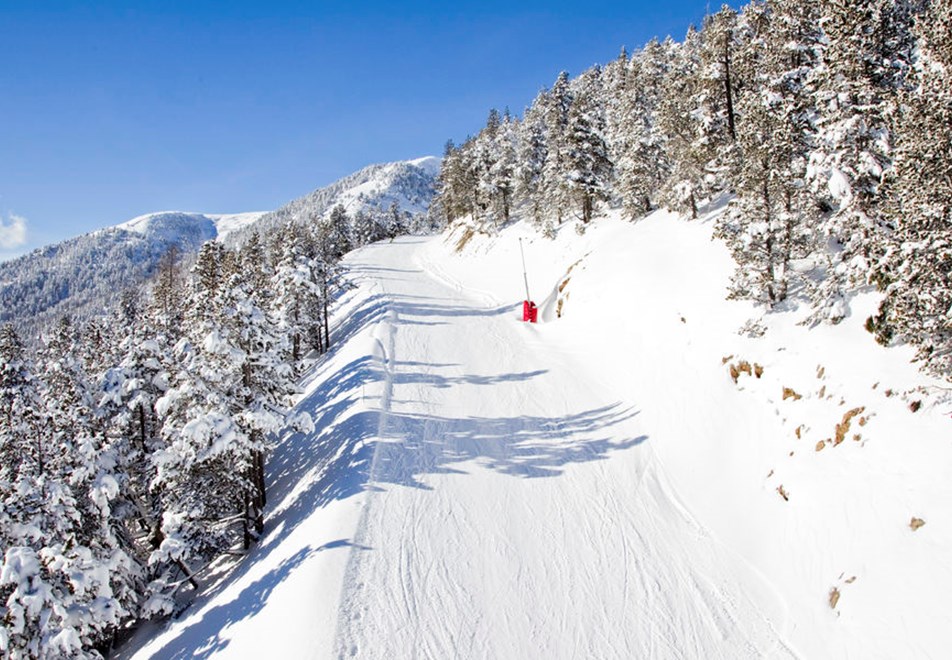 Montgenevre Ski Resort - Tree-lined slopes